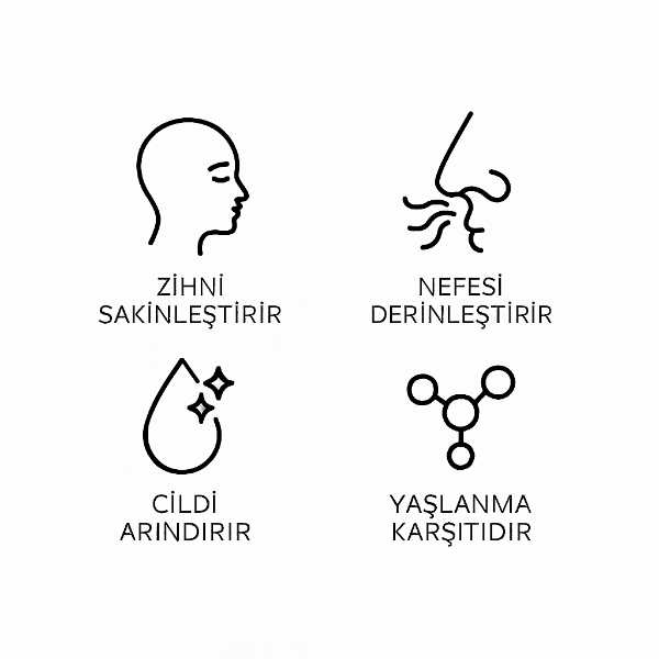 Akgünlük Uçucu Yağ resmi