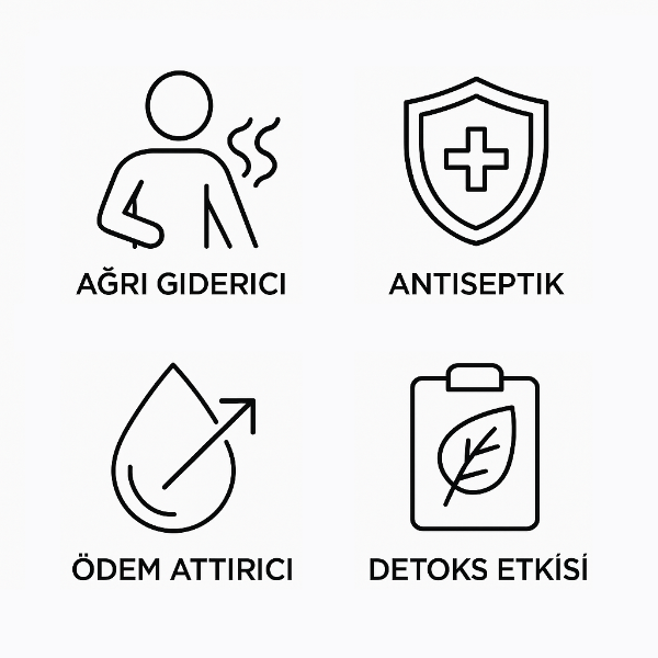 Ardıç Uçucu Yağ resmi