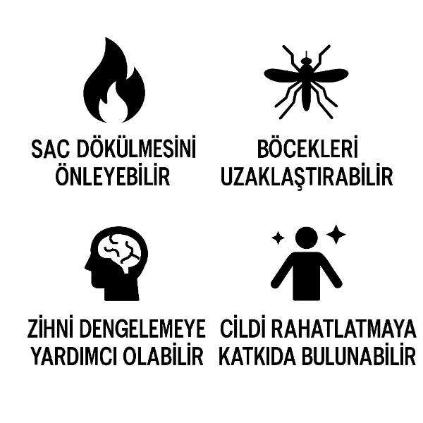 Sedir Uçucu Yağ resmi